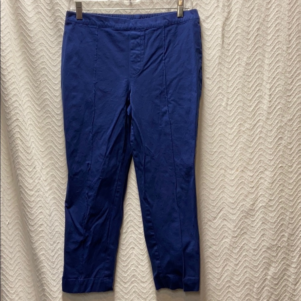 Isaac Mizrahi Live navy blue size 12P pants